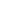 Weapon Warrior