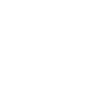 Advanced Weapon Warrior