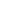 Arcane Guard