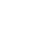 Vengeance Guard