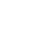 Slaughterer