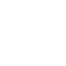Valiant Knight