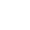 Storm Knight