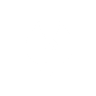 Bishop