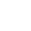 Spell Resistance