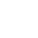Knight Slayer